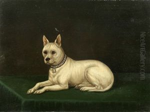 Cribb, A White Terrier by Edwin (of Bath) Loder