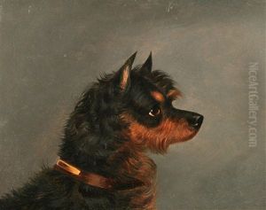 Head Of A Norwich Terrier by Edwin (of Bath) Loder