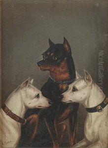 Three Terriers (study)
