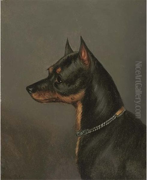 Head Of A Terrier - view 1