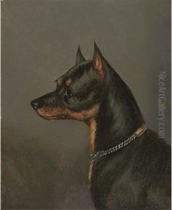 Head Of A Terrier