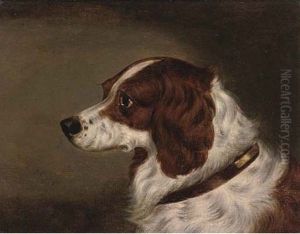 The Head Of A Spaniel (+ The Head Of Gundog; Pair) by Edwin (of Bath) Loder
