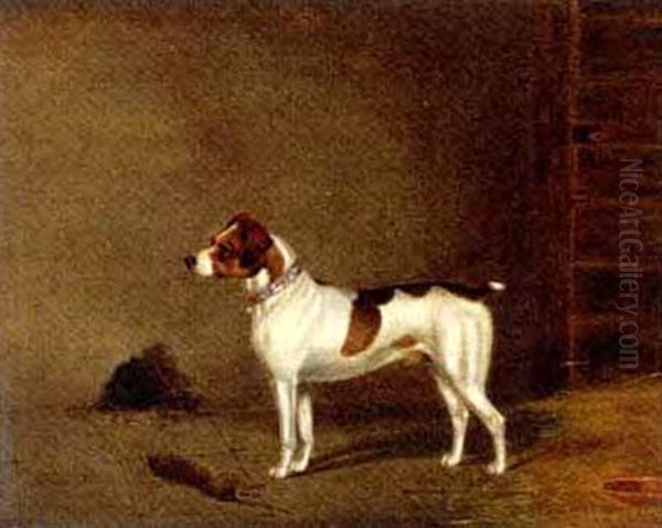 "success", A Terrier - view 1
