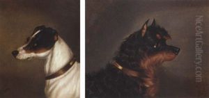 A Jack Russell by Edwin (of Bath) Loder