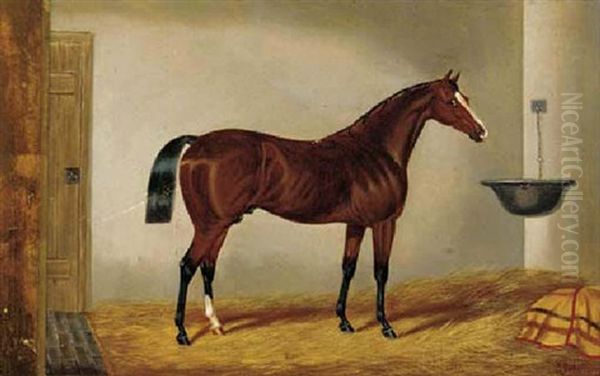 A Chestnut Hunter - view 1