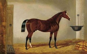 A Chestnut Hunter