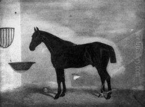 Portrait Of A Black Horse In A Stable by Edwin (of Bath) Loder
