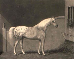 A Dark Bay Hunter In A Stall A Dark Bay Hunter In A Stall