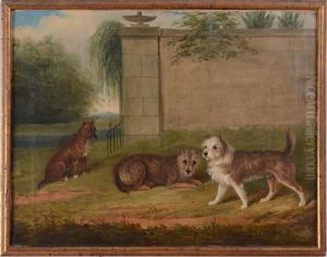 Terriers In A Park