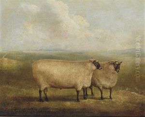 A Prize Ram Bred By Mr. William Sainsbury (collab. W/ William Henry Davis)