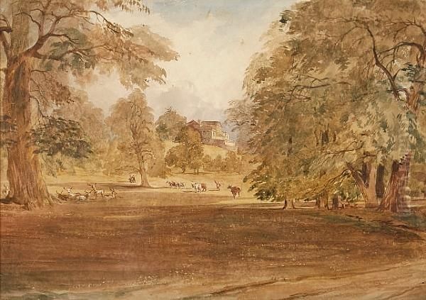 Diana Hill, Shrublands, Near Ipswich - view 1