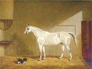 A Grey Hunter And Spaniel In A Loose Box by James Loder Of Bath