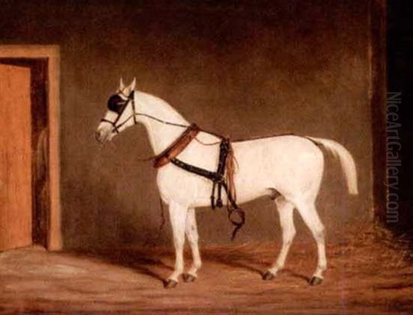Horse On Harness - view 1