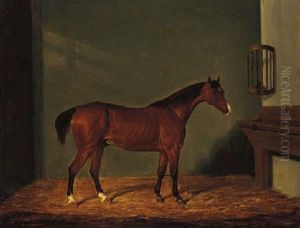 A Bay Hunter In A Stable A Bay Hunter In A Stable