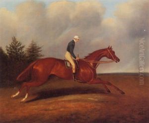 "pyrrhus I" With Sam Day Up "pyrrhus I" With Sam Day Up