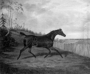 An Old Hunter Following The Hunt