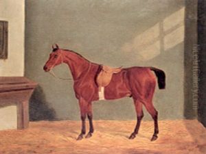 A Saddled Chestnut Hunter In A Loosebox