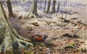 Pheasants In A Winter Woodland by George Edward Lodge