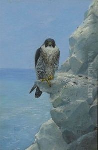 A Peregrine Falcon On A Chalk Cliff by George Edward Lodge