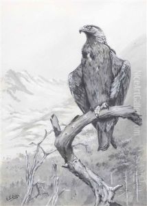 Golden Eagle On A Branch by George Edward Lodge