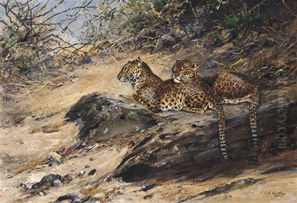 Leopards In The Shade - view 1