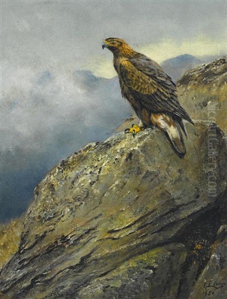 A Golden Eagle Perched On A Rock - view 1