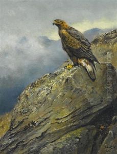 A Golden Eagle Perched On A Rock A Golden Eagle Perched On A Rock