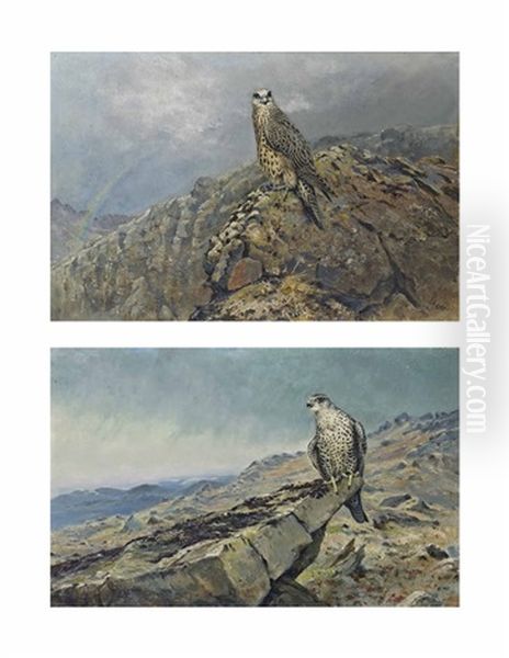 Gyr Falcon On A Rocky Crag (+ Gyr Falcon With A Rainbow Beyond; 2 Works) - view 1