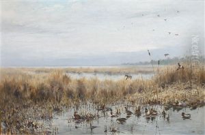 Mallards In Flight In A Marshy Landscape by George Edward Lodge