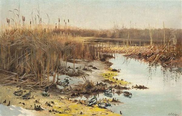 Marshland Life - view 1