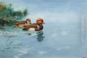 Red Crested Pochard by George Edward Lodge