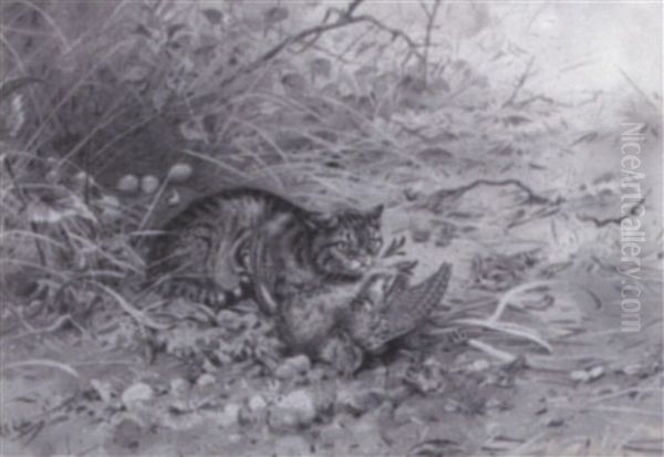 Wild Cat And Partdridge - view 1