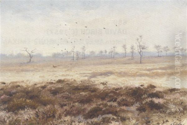 Rooks Circling Above A Barren Landscape - view 1