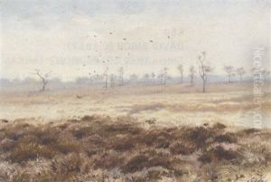Rooks Circling Above A Barren Landscape
