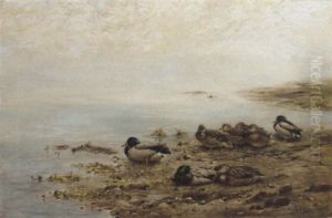 Mallards At The Water's Edge by George Edward Lodge