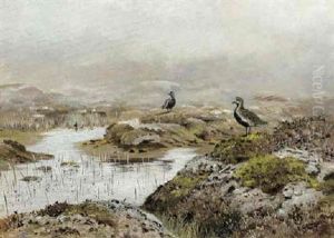 Plovers In A Marshland