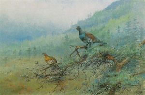 A Pair Of Capercaillie In A Scottish Landscape