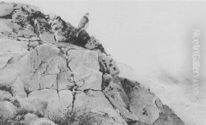 Gyr Falcon On The Alert by George Edward Lodge