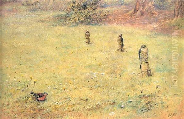 Peregrines On Blocks With A Chaffinch, The Artist's Garden - view 1