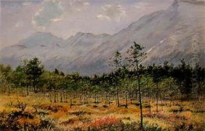 A Capercaillie In Pines by George Edward Lodge