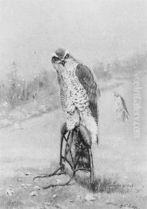 Study Of A Female Sparrowhawk In Jesses, Her Mate Beyond by George Edward Lodge