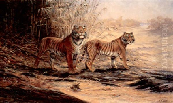 Pair Of Tigers - view 1