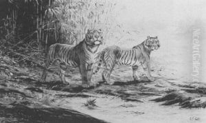 A Pair Of Tigers by George Edward Lodge