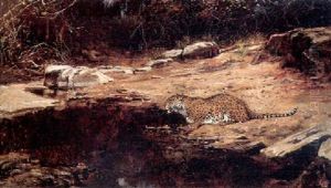 Leopard By Pool