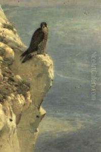 Osprey On A Cliff Ledge by George Edward Lodge