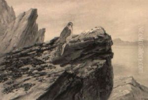 Hammerfest-peregrine Falcon by George Edward Lodge