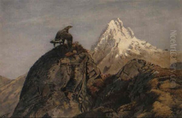 Golden Eagle - view 1