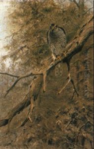 A Goshawk by George Edward Lodge
