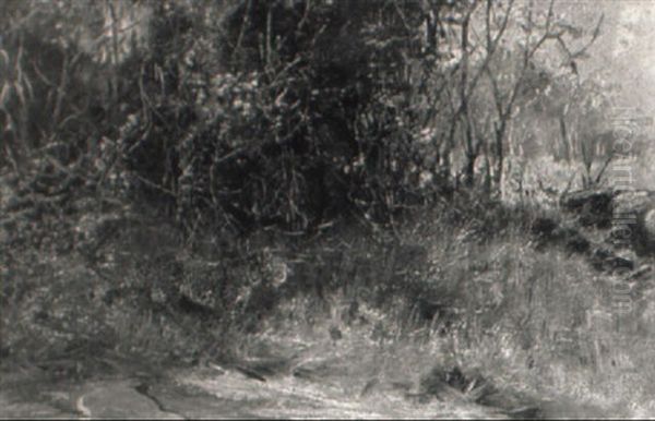 Leopard - view 1