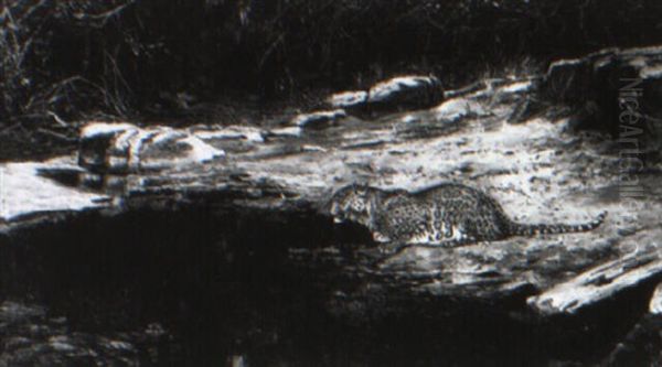 Leopard By The Pool - view 1